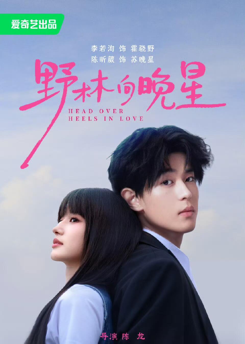 野林向晚星（1080）