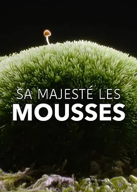 奇妙的苔藓世界(1080)