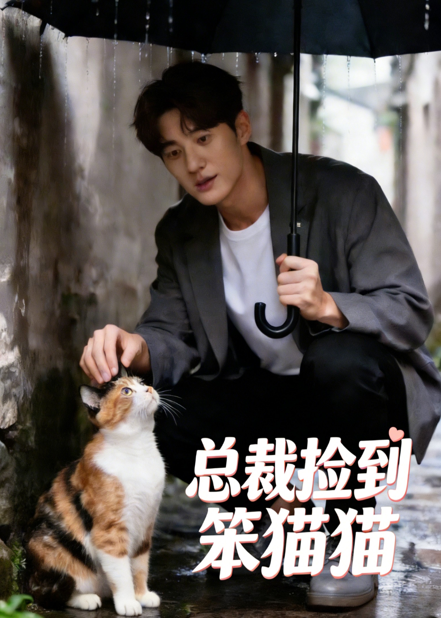 总裁捡到笨猫猫（蓝光）