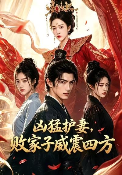 凶猛护妻败家子威震四方（1080）