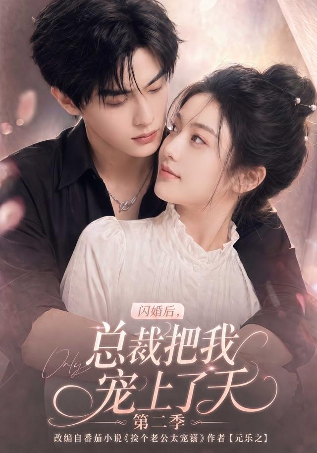 闪婚后总裁把我宠上了天第二季(蓝光)
