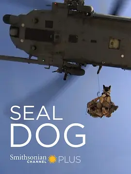 海豹突击犬(1080)