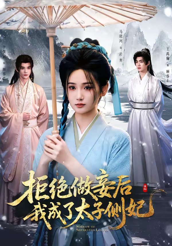 拒绝做妾后我成了太子侧妃一纸离人愁（1080）