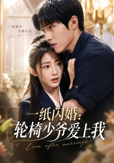 一纸闪婚轮椅少爷爱上我（蓝光）