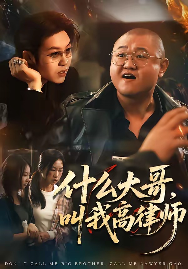 什么大哥叫我高律师(1080)