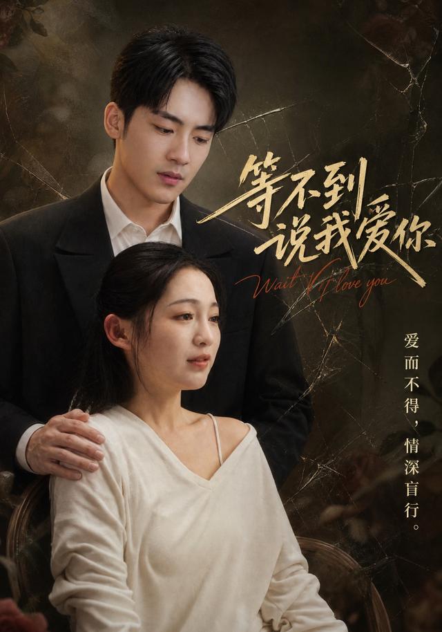 等不到说我爱你（1080）