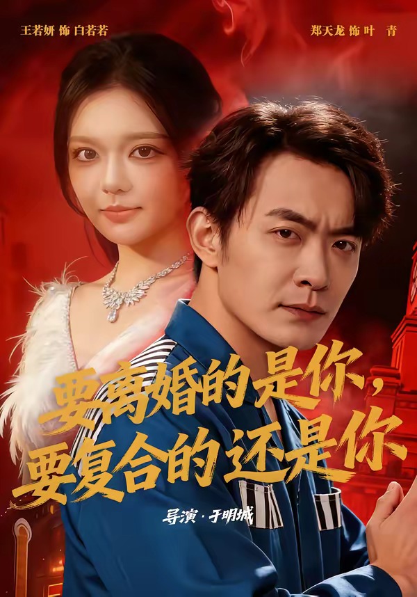 要离婚的是你要复合的还是你（4K）