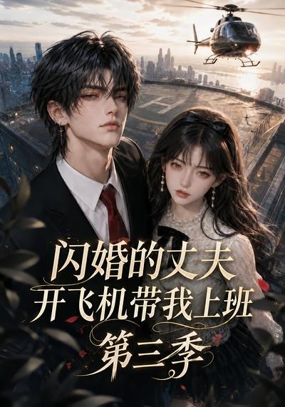闪婚的丈夫开飞机带我上班第三季（4K）