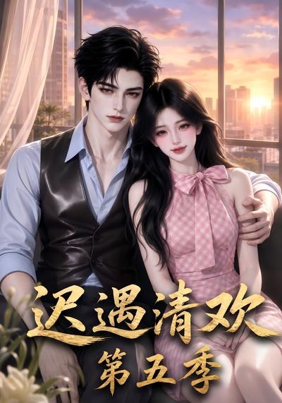 迟遇清欢第五季（蓝光）