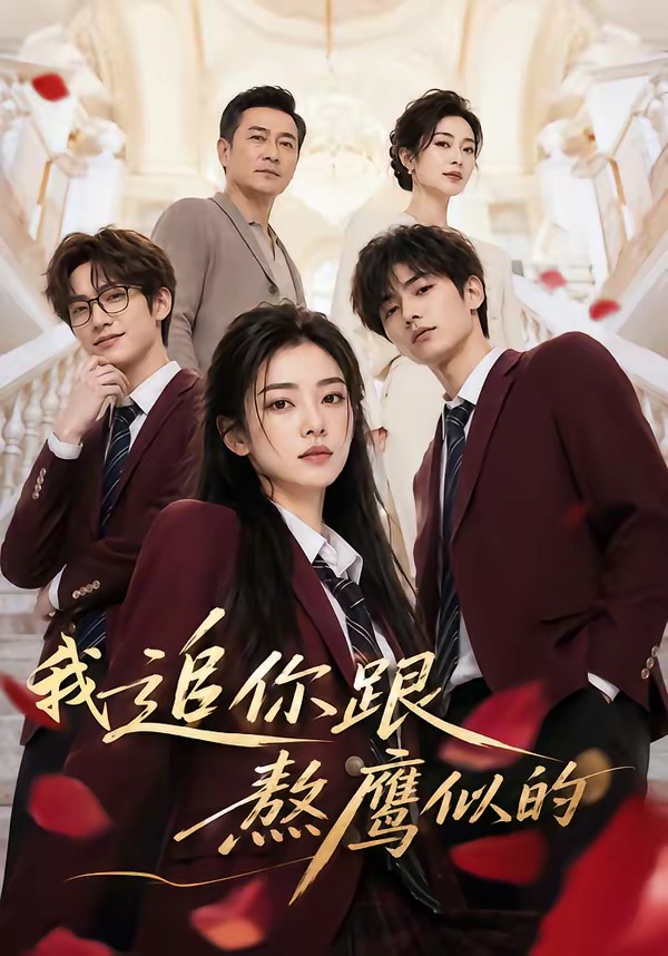 我追你跟熬鹰似的（蓝光）