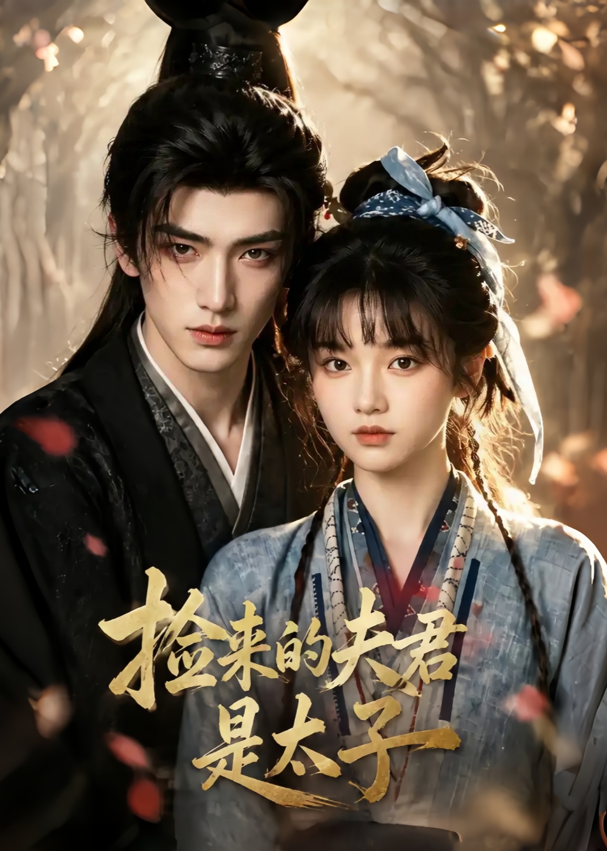 捡来的夫君是太子（蓝光）