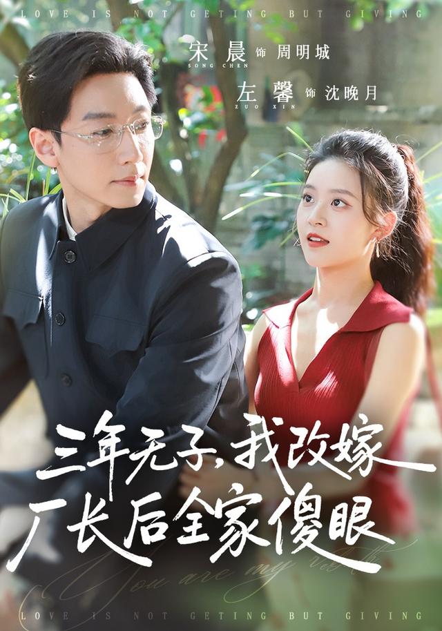 三年无子我改嫁厂长后全家傻眼了（蓝光）