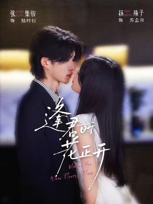 逢君时花正开（蓝光）