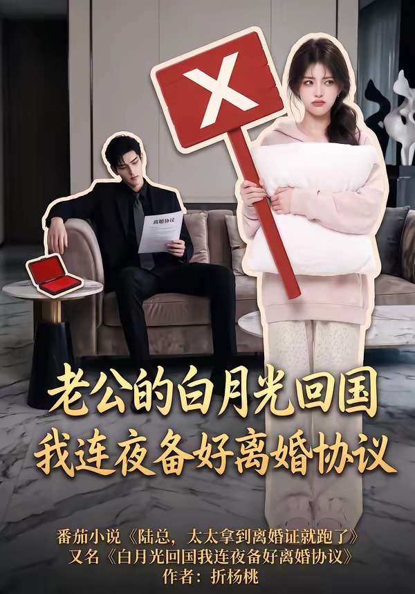 老公的白月光回国我连夜备好离婚协议(4K)
