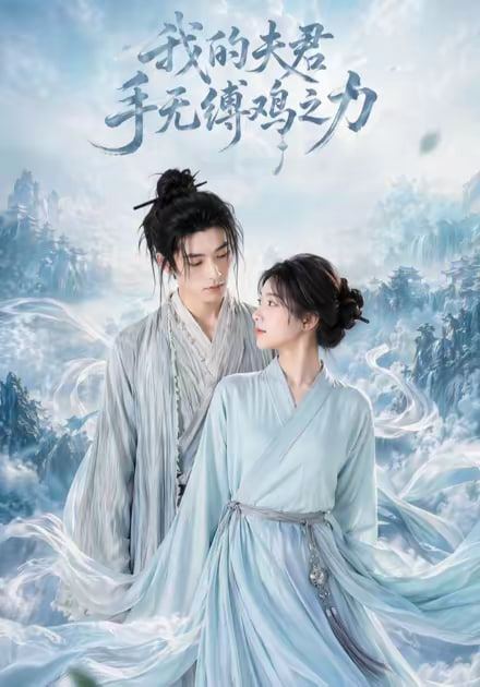 我的夫君手无缚鸡之力（蓝光）