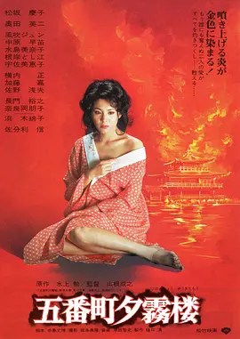 五番町夕雾楼(蓝光)