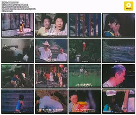 小意思(1080)